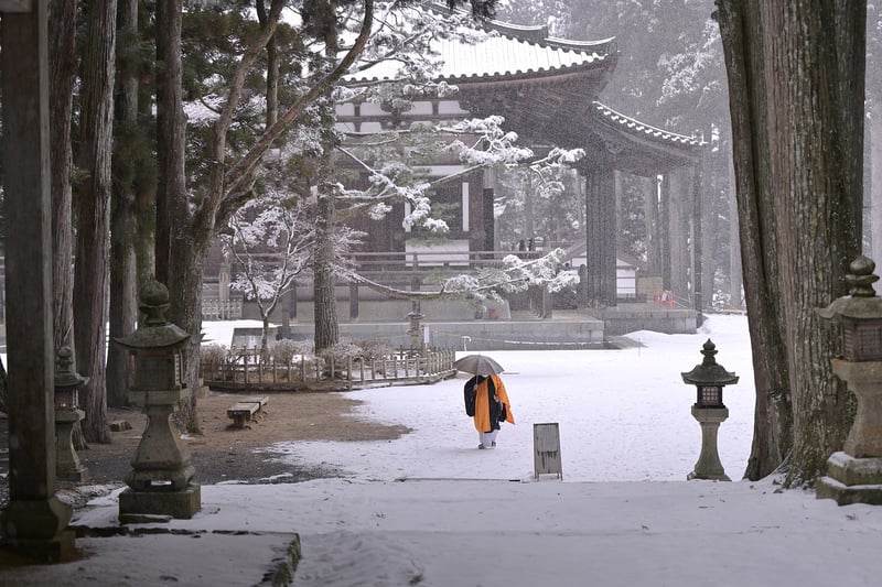 Magical Pathways